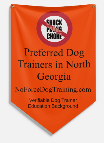 Preferred dog trainer in North Georgia