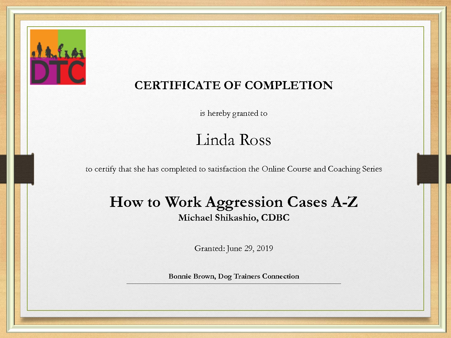 How To Work Aggression Cases A-Z - Certificate of Completion (2019)