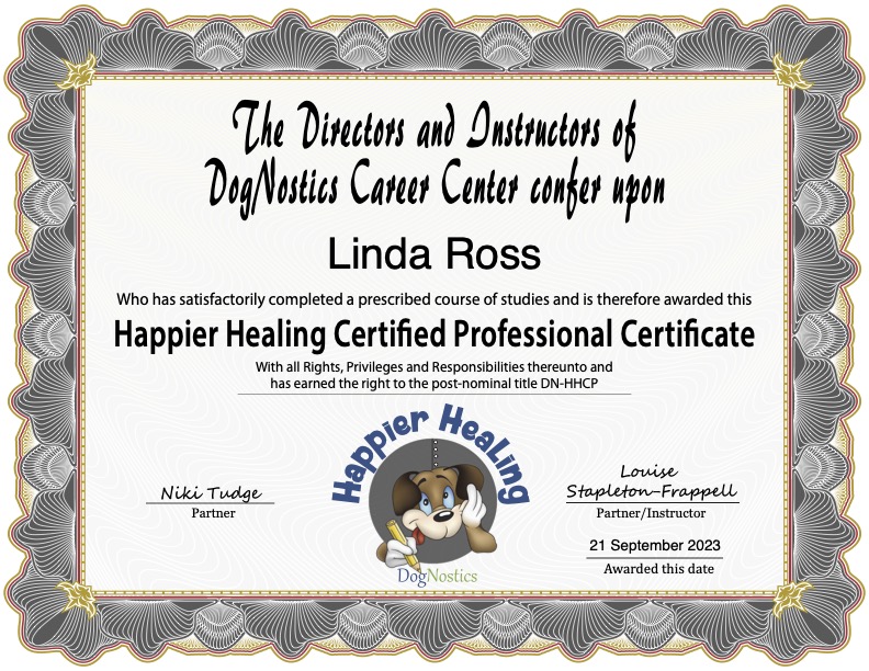 The Happier Healing Certification