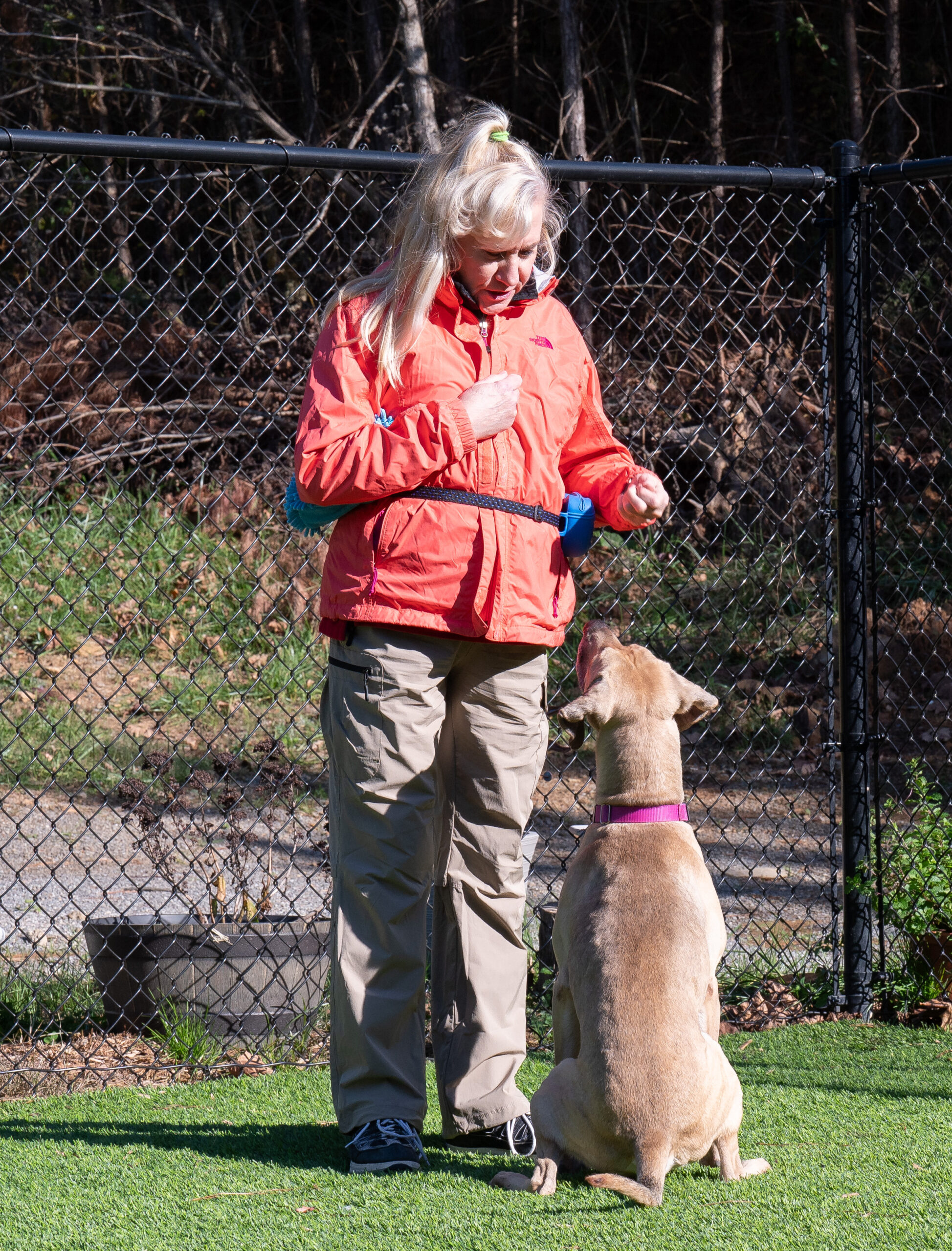 Enrichment at the shelter