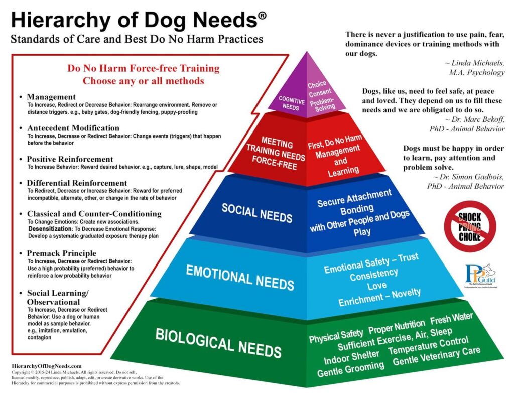 Hierarchy of Dog Needs Revised 2024 -tiny.jpg