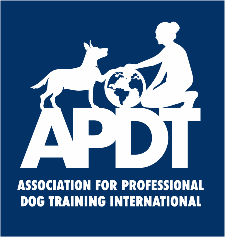 APDTI logo 2025